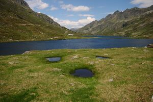 Oberer Giglachsee 0762 2011-06-22.jpg