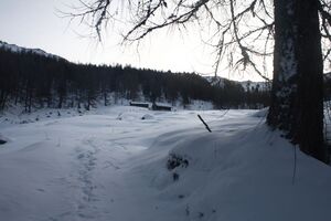 Pleschnitzalm 80887 2015-01-08.jpg