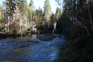 Ranftlmühle 78229 2014-11-03.jpg