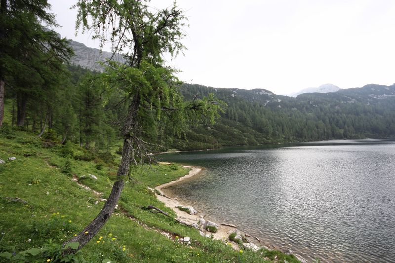 Datei:Steirersee südufer 51307 2017-06-24.jpg