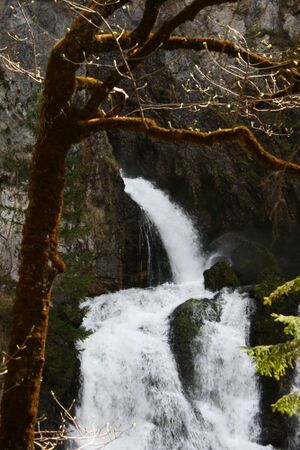 Wasserlochklamm palfau 70500 2018-04-23.jpg