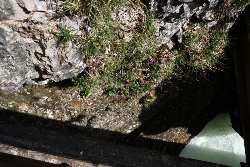 Datei:Wasserlochklamm palfau 70594 2018-04-23.jpg