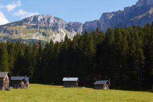 Blaa-Alm-0073-2021-09-10.jpg