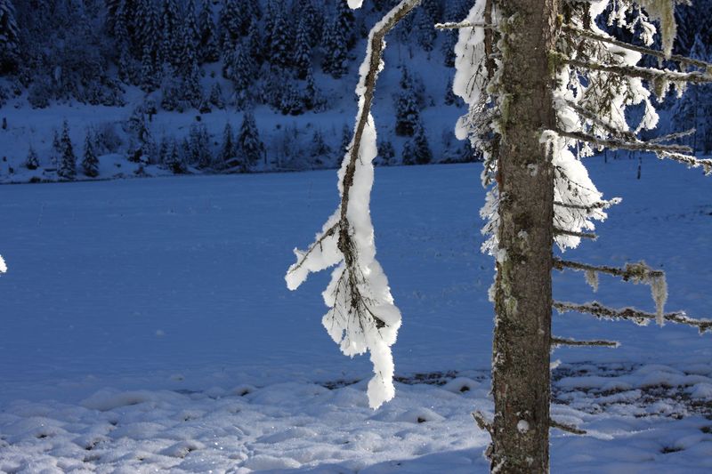 Datei:Bodensee 26630 2014-01-01.jpg