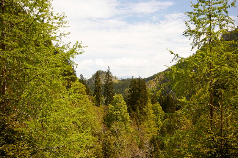 Datei:Goldeck hartelsgraben-1000-2021-06-05.jpg