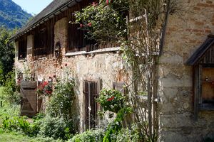 Moarhof-Meierhof st.Gallen-0191-2025-09-15.jpg