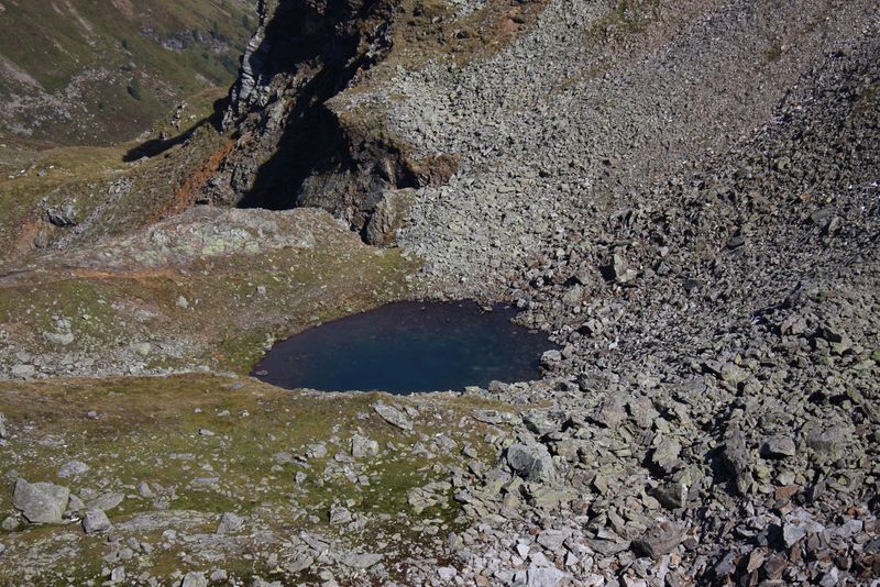 Datei:Nördliche krukecklacke 02088 2015-09-13.jpg