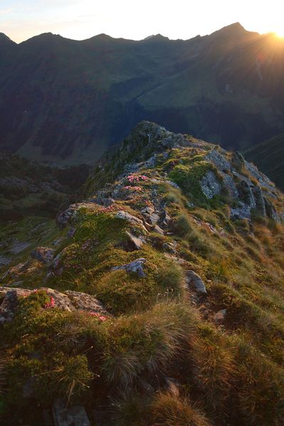 Datei:Nageleck sunrise 27414 2010-08-11.jpg