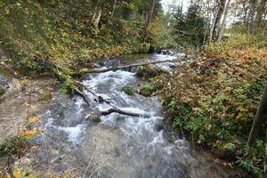 Ramsaubach 05789 2015-10-09.jpg