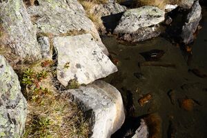 Rantensee 75063 2014-10-19.jpg