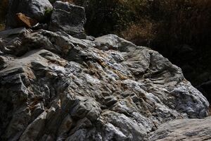 Säusenbach kleinsölk 73660 2014-10-03.jpg