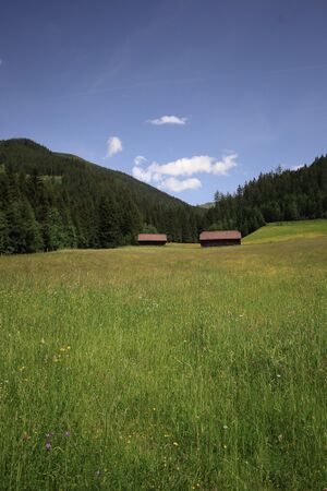 Schattner lehen 78165 2018-06-11.jpg