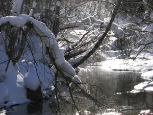 Untertalbach 46572 2006-01-29.jpg