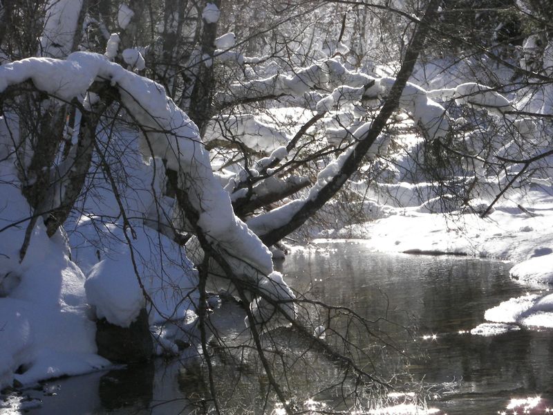 Datei:Untertalbach 46572 2006-01-29.jpg