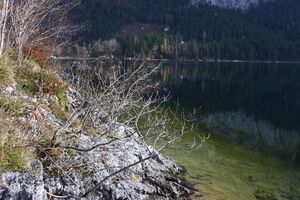 Altausseer See 78927 2014-11-15.jpg