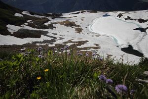 Augstsee loser 50347 2017-06-11.jpg