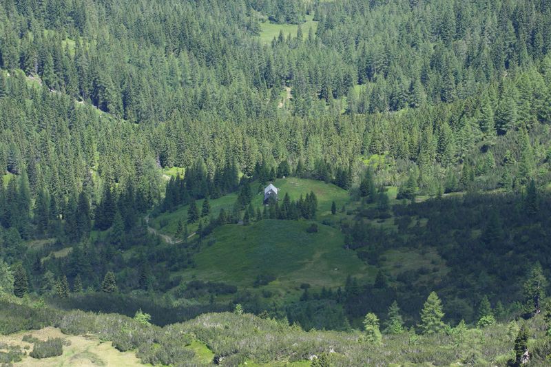 Datei:Bauernalm 84359 2014-06-26.jpg