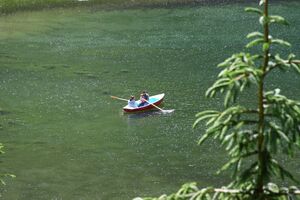 Bodensee seewigtal 63527 2014-06-21.jpg