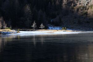 Duisitzkarsee 14379 2011-11-30.jpg