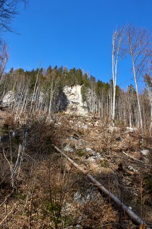 Felssturz luserfall-0037-2023-03-05.jpg