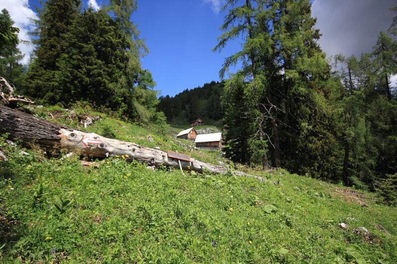 Datei:Gößlalm 77683 2018-06-04.jpg