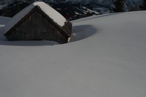 Gössleralm-salzofen 2618 2008-02-04.jpg