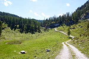 Große wiesmahd-0249-2022-06-12.jpg