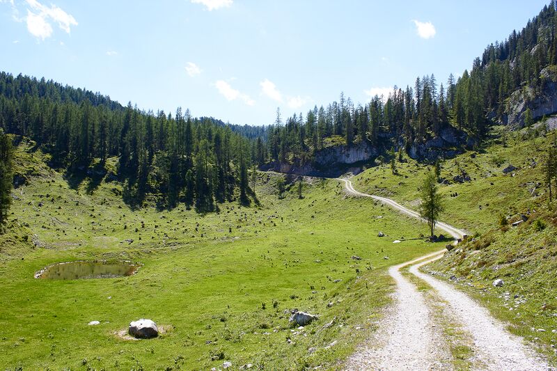 Datei:Große wiesmahd-0249-2022-06-12.jpg