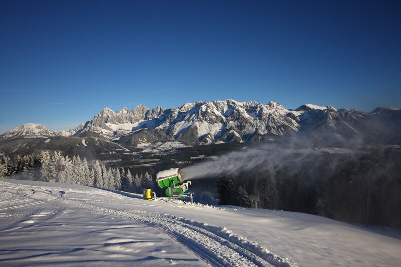 Datei:Guschen 36707 2016-11-15.jpg