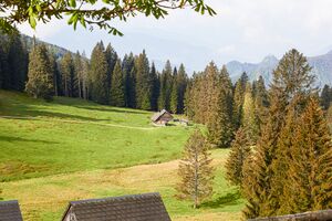 Hintereggalm-0398-2022-05-18.jpg