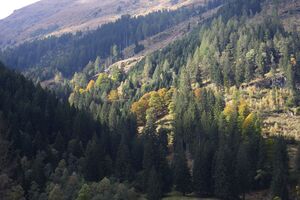 Kleinsölkertal 73490 2014-10-03.jpg