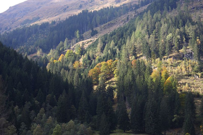 Datei:Kleinsölkertal 73490 2014-10-03.jpg