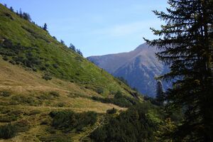 Lassachalm (Alm) 02542 2015-08-28.jpg