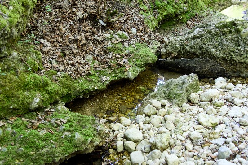 Datei:ND 356 Teichenbach Unterkainisch-0235-2025-05-01.jpg