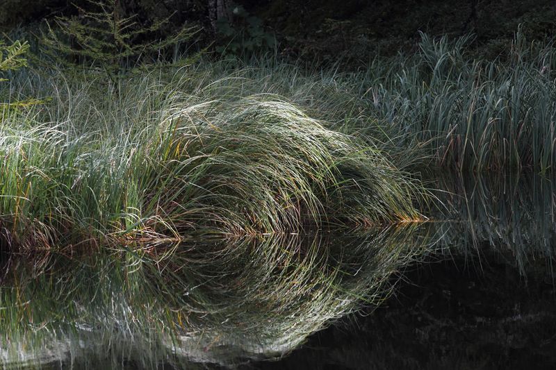 Datei:Salleitnerteich Oberhausberg 57601 2017-09-15.jpg