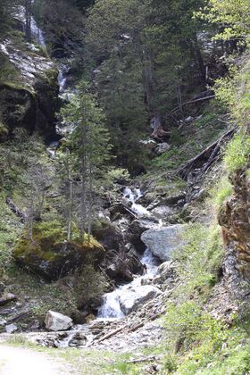 Schupferalmweg 3924 13-05-26.jpg