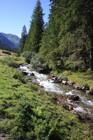 Strieglerbach 54349 2017-07-21.jpg