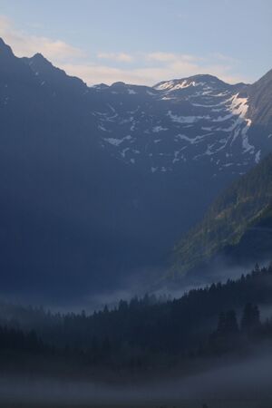 Tettermoor 0489 2008-06-09.jpg