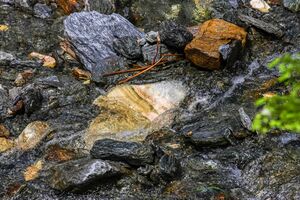 Walchenbach 99830 2015-06-07.jpg