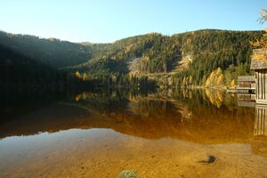 Ödensee 77936 2014-11-03.jpg
