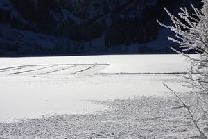 Bodensee 26647 2014-01-01.jpg