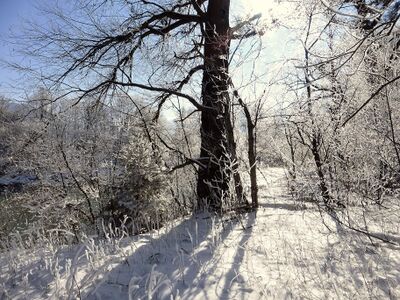 Ennsau Trautenfels340715.JPG