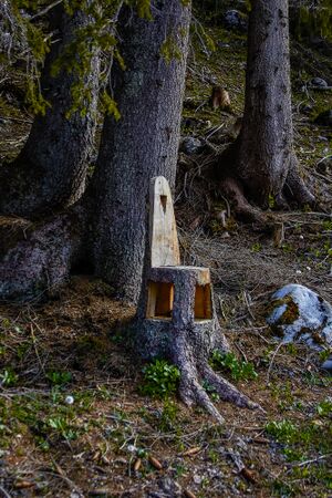 Flecklmoos -öderntal 20-05-07 1166.jpg