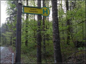 Gofergraben( 13.04.24 ) 002.jpg