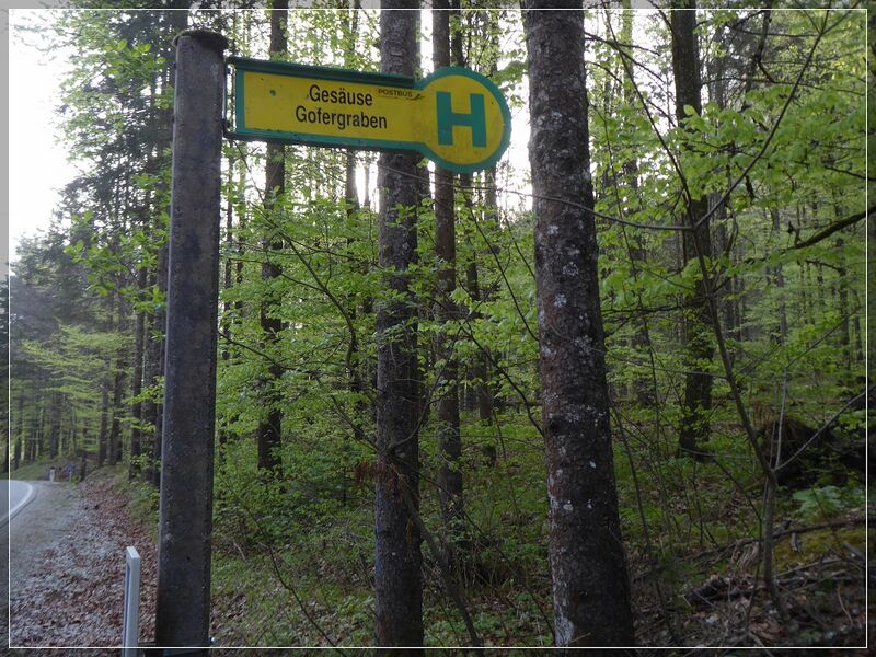 Datei:Gofergraben( 13.04.24 ) 002.jpg