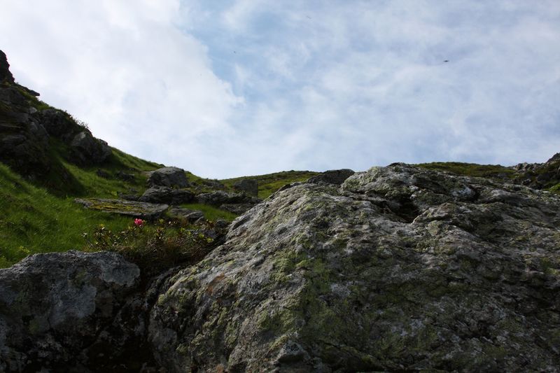 Datei:Herzmaierkar 32478 2011-07-06.jpg