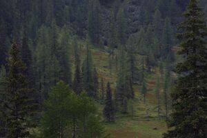 Knallkar großsölk 55637 2016-08-17.jpg