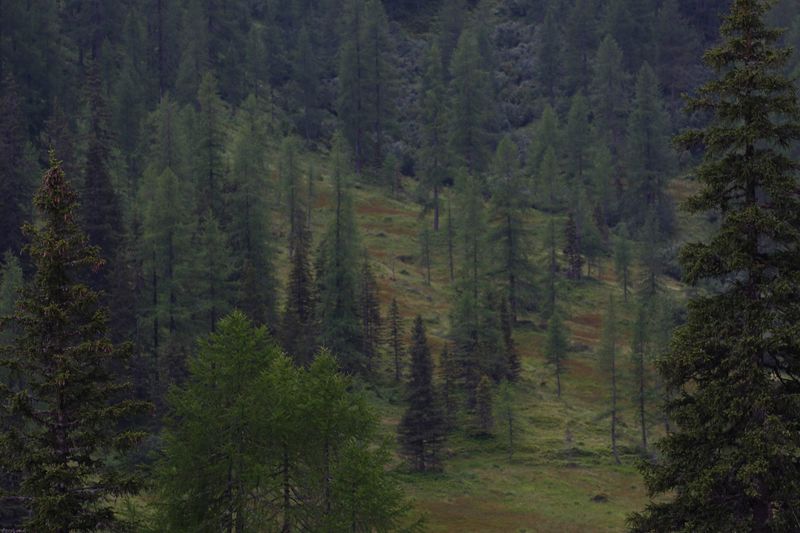 Datei:Knallkar großsölk 55637 2016-08-17.jpg