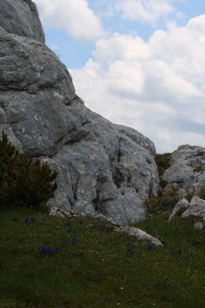 Luser 22979 2008-06-21.jpg