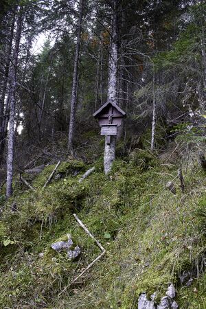 MA johann kanzler-0088-2021-10-30.jpg